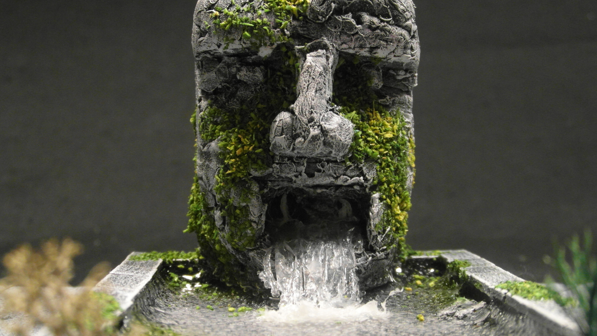 Descripción de la imagen 3